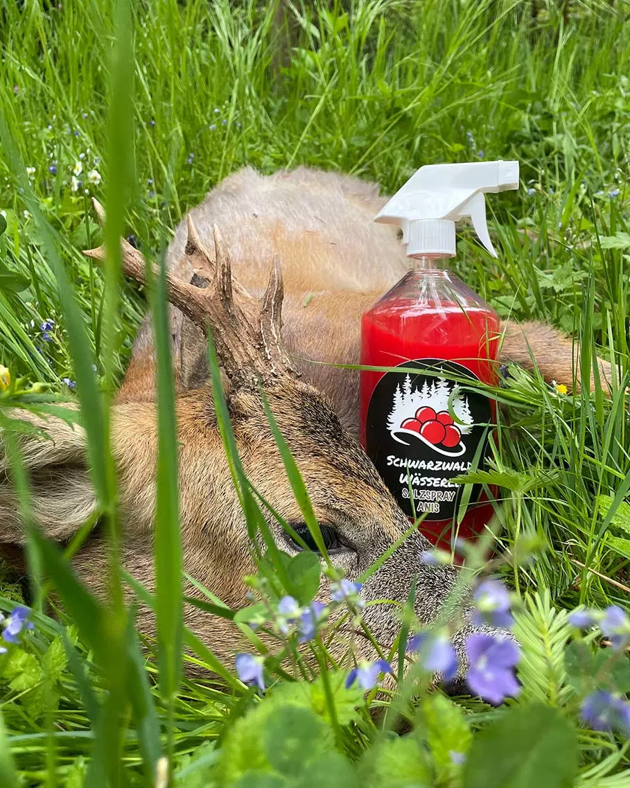 Salzspray Anis - Lockmittel Rehwild, Schwarzwild, Rotwild und Damwild