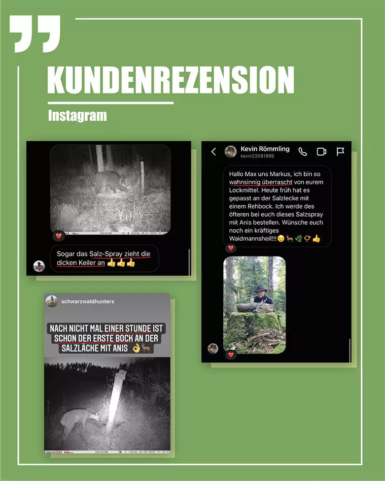 Salzspray Anis - Lockmittel Rehwild, Schwarzwild, Rotwild und Damwild