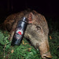 Refill pack Delight - Attract wild boar and roe deer